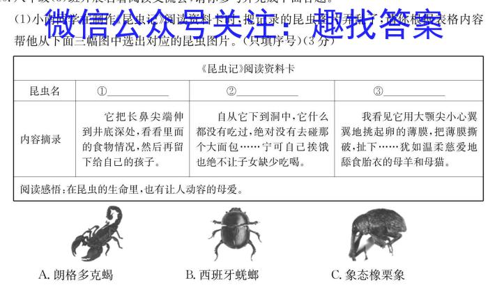 2023届普通高等学校招生考试预测押题卷(四)语文