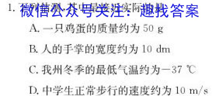 安徽第一卷·2023年安徽中考信息交流试卷（三）物理`