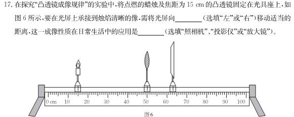 2023年河北省新高考模拟卷（三）-物理