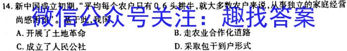 安徽省利辛县2023年九年级4月联考历史