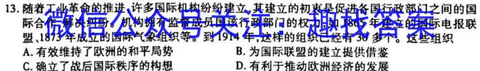 师大名师金卷2023年陕西省初中学业水平考试（四）历史