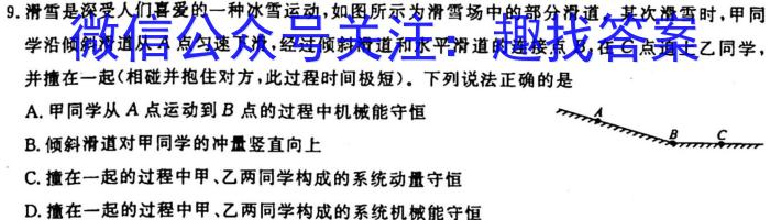 金考卷2023年普通高等学校招生全国统一考试 新高考卷 押题卷(二)l物理