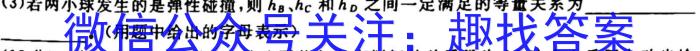 2023学年普通高等学校统一模拟招生考试新未来3月高三联考物理`