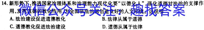 2023普通高校招生全国统一考试·全真冲刺卷(四)历史