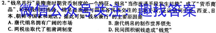 山西省吕梁市忻州市原平市2023届九年级中考一模历史