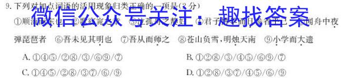 2022-023学年安徽省九年级下学期阶段性质量检测（六）语文