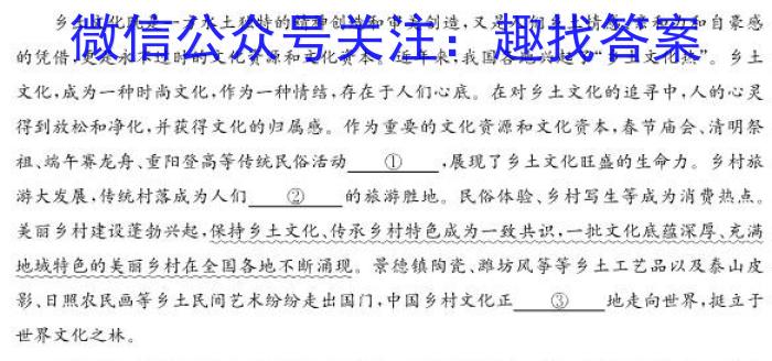 安徽省2022-2023学年九年级下学期双减作业调研考试语文