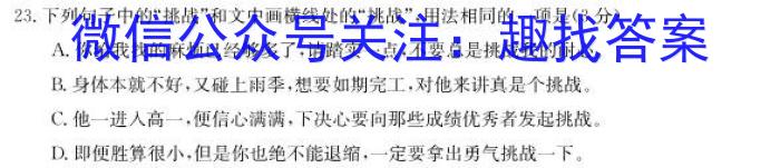 2023年陕西省初中学业水平考试·全真模拟（四）A卷语文