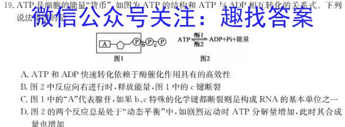 凯里一中2022-2023学年度第二学期高二第一次月考生物