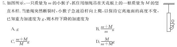 2023年河北省初中毕业班升学文化课模拟测评（六）-物理