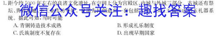 安徽省2023届九年级学情诊断考试历史