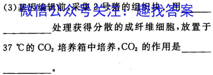 2023年湖北省新高考信息卷(一)生物