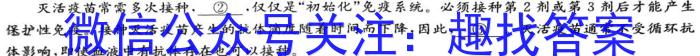 2023届青海大联考高三年级3月联考（※）语文