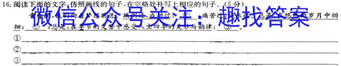 安徽省江淮教育联盟2022-2023学年第二学期的九年级第一次联考语文