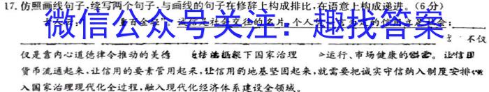 安徽省2023年池州名校中考模拟卷（二）语文