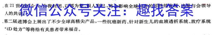 2022-023学年安徽省九年级下学期阶段性质量检测（六）语文