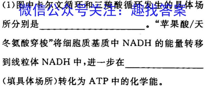 2023届洛阳许昌平顶山济源四市高三第三次质检生物