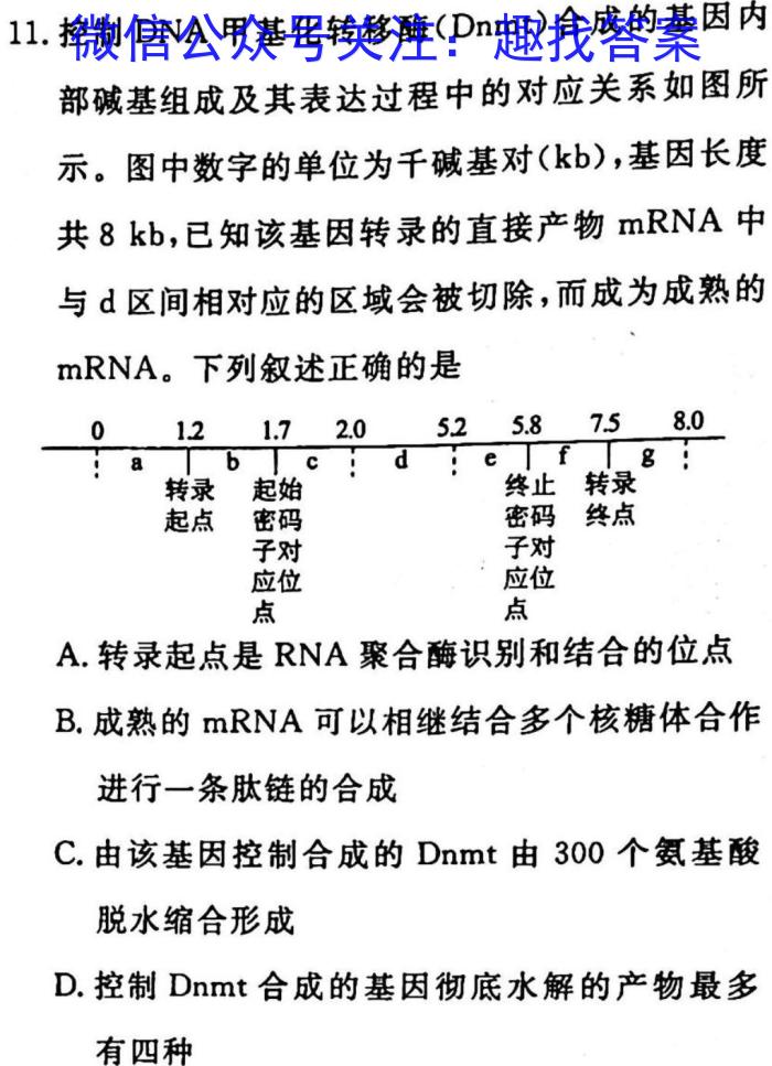 山西省2024-2023学年度八年级第二学期阶段性练习（一）生物