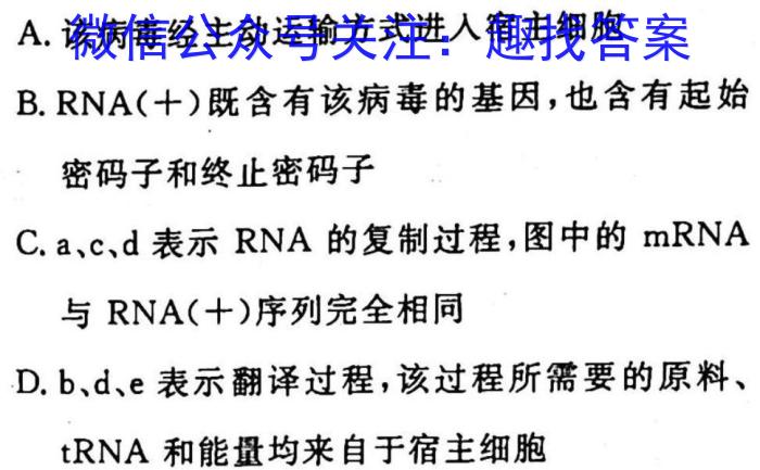 百师联盟辽宁2022-2023学年度高考适应性测试（3月）生物试卷答案