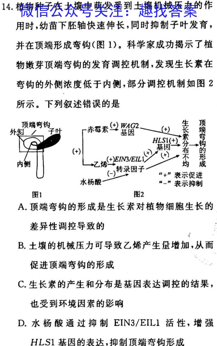 2023年普通高等学校招生伯乐马模拟考试(四)4生物