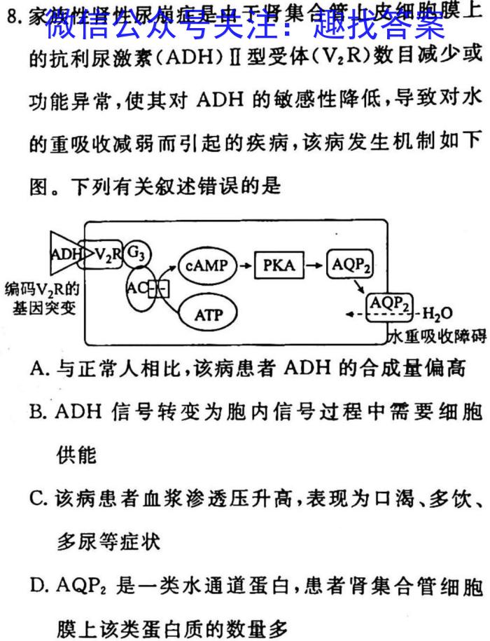 2023年普通高校招生考试冲刺压轴卷X234生物试卷答案