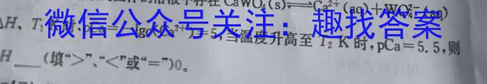 学林教育2023年陕西省初中学业水平考试·全真模拟卷(四)化学