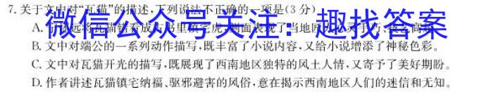 2023年河南省普通高中毕业班高考适应性练习语文