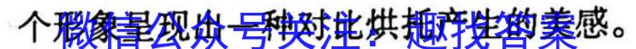 山西省晋城市阳城县2023年中考模拟练习语文