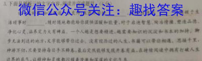 湖南省三湘名校教育联盟2023届高三3月大联考语文