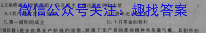 2023年陕西省九年级联盟卷（B卷）政治s