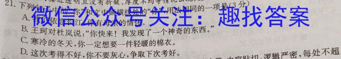 安徽省2023届九年级下学期教学质量检测（六）语文