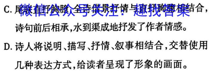 安徽省2023年下学期九年级学业水平测试模拟卷（三）语文