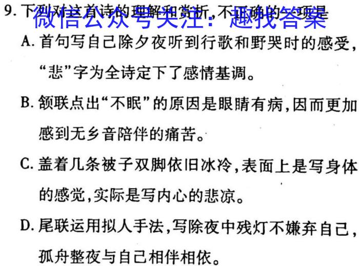 [国考1号14]第14套 高中2023届高考适应性考试语文