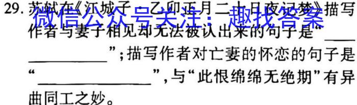 ［承德一模］启光教育2023年河北省承德市高三年级第一次模拟考试语文