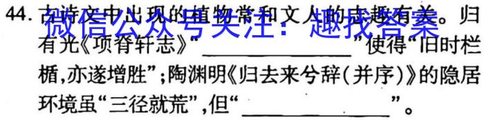 佩佩教育·2023年普通高校统一招生考试 湖南四大名校名师团队模拟冲刺卷(2)语文