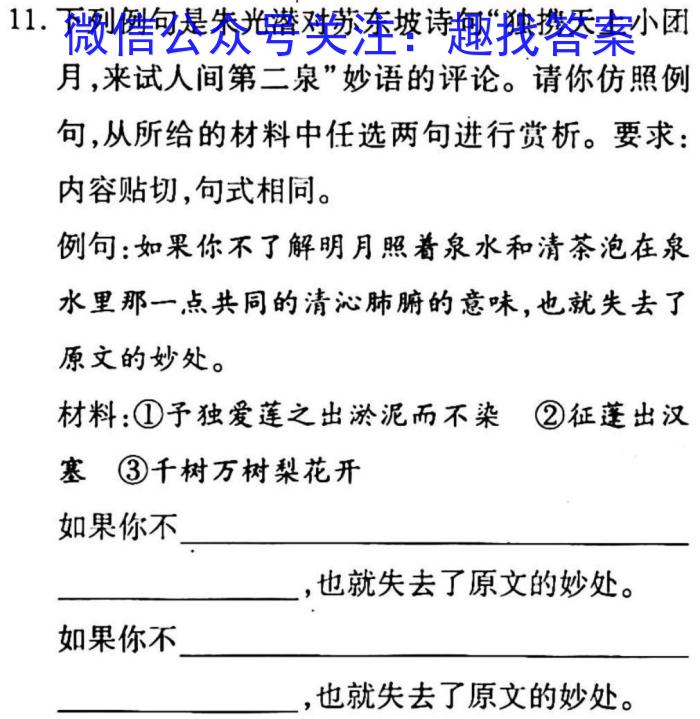 神州智达2023年普通高等学校招生全国统一考试(压轴卷Ⅰ)语文