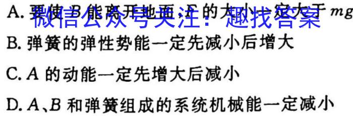 [岳阳二模]岳阳市2023届高三教学质量监测(二).物理