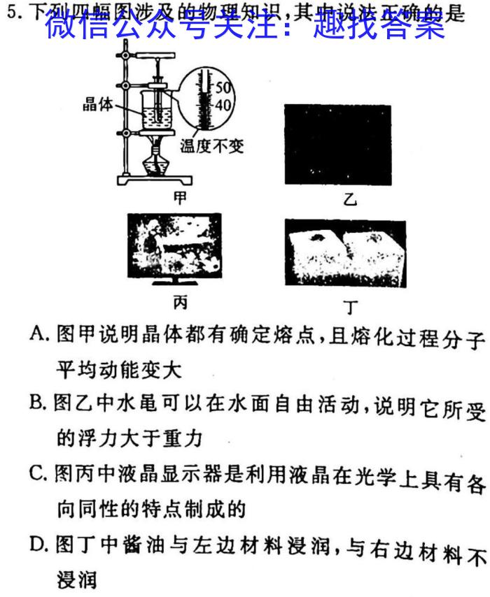 陕西省九年级联盟卷(23-CZ118c)物理`