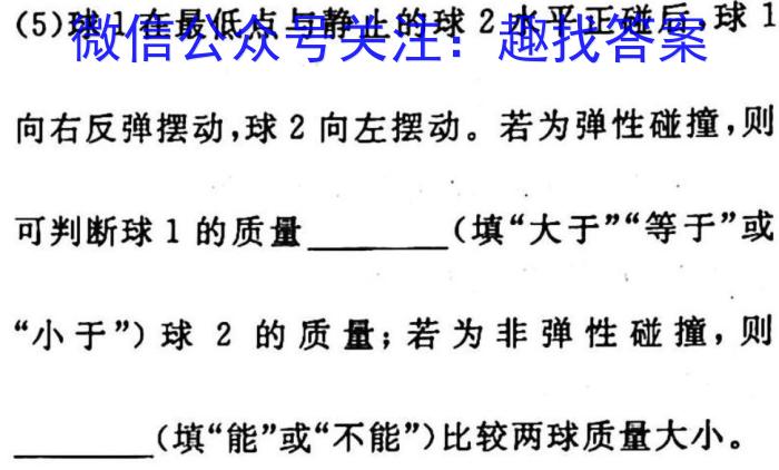 [南充二诊]四川省南充市高2023届高考适应性考试(二诊).物理