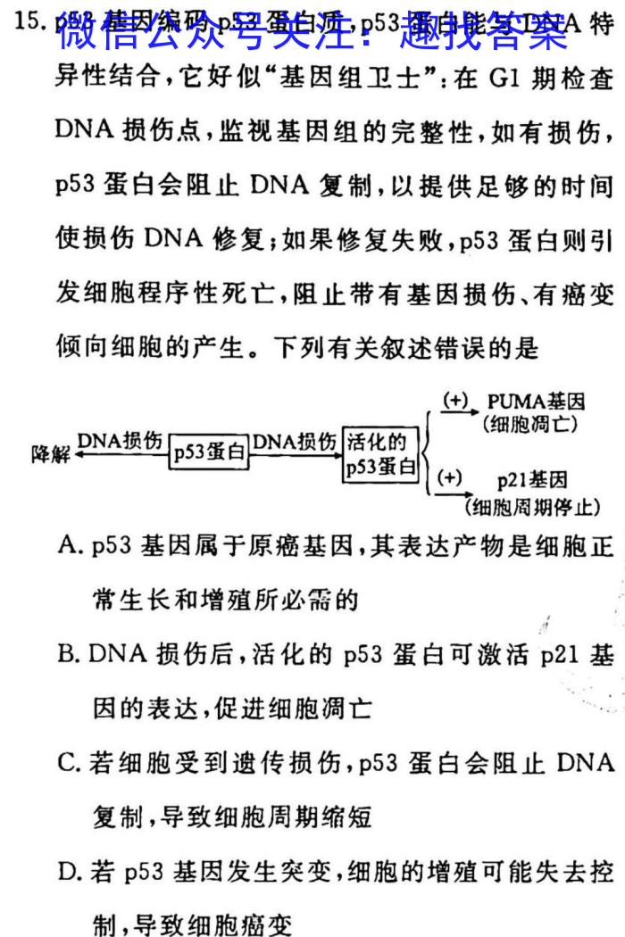 智慧上进2022-2023学年高三年级二轮复习阶段性检测生物