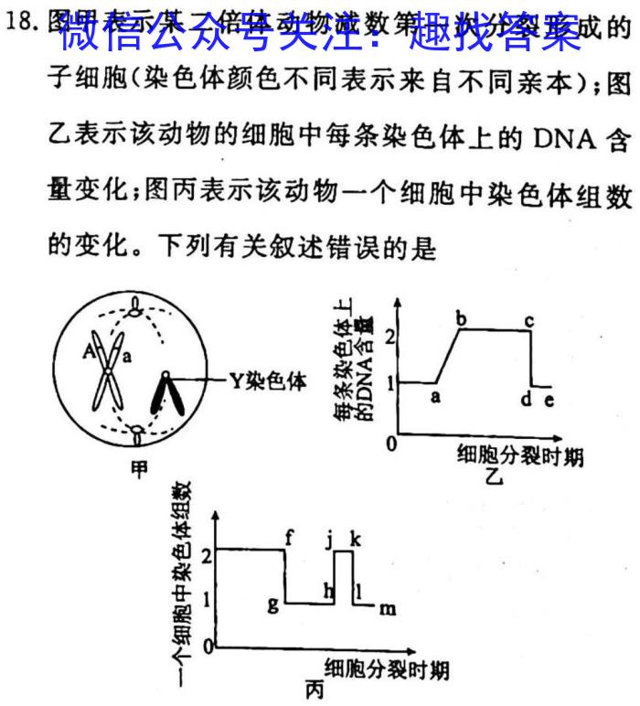 安师联盟2023年中考权威预测模拟考试（七）生物试卷答案