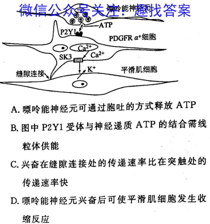 2023届衡中同卷 信息卷 新高考/新教材(五)生物