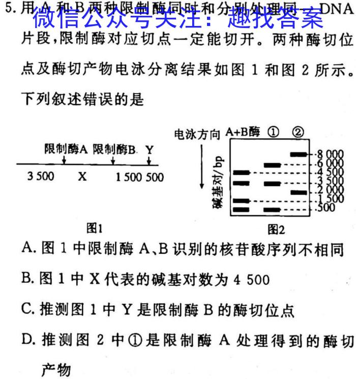 2023年商洛市第一次高考模拟检测试卷(23-347C)生物