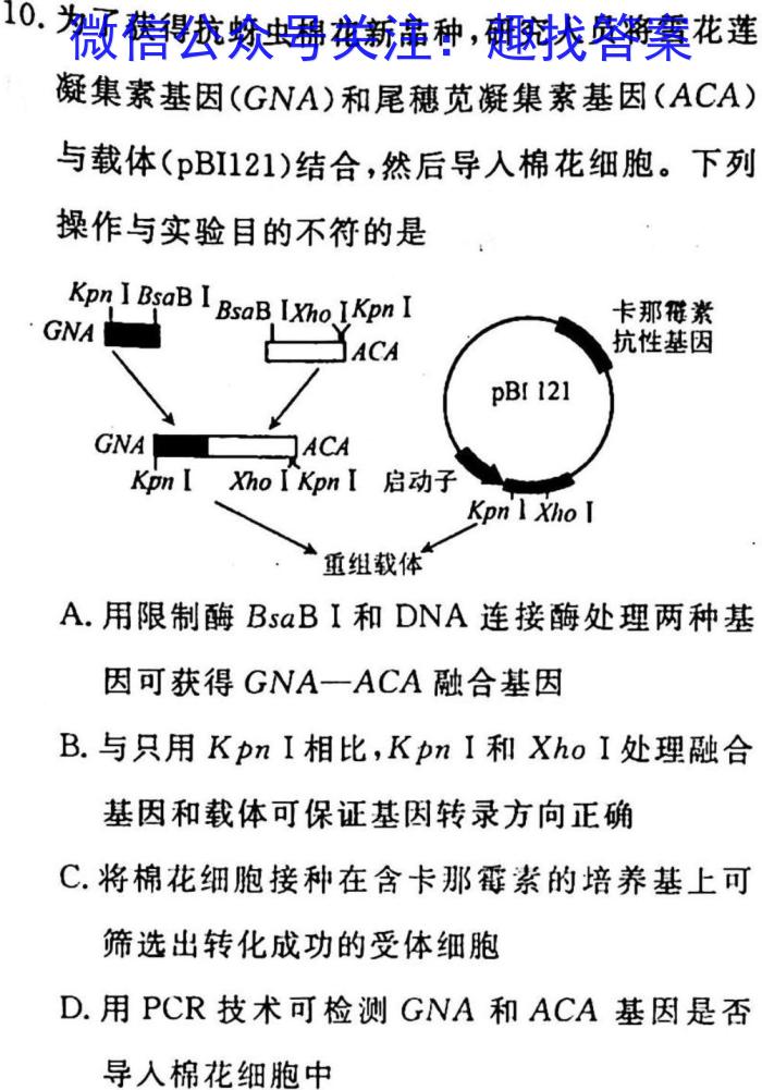 学普试卷·2023届高三第十次(模拟版)生物试卷答案