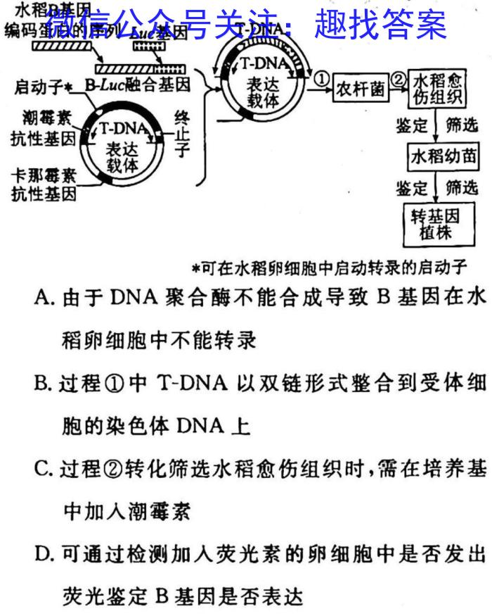 2023高考名校导航冲刺金卷(四)生物