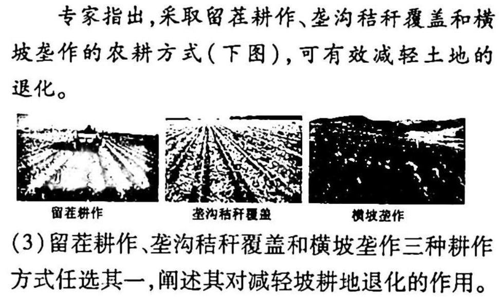 衡中同卷信息卷2023全国卷(二)政治y试题及答案