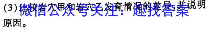 2023年普通高等学校招生全国统一考试·冲刺押题卷(新高考)(六)政治1