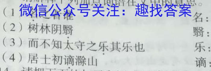 2023年湖北云学新高考联盟学校高二年级4月期中联考语文