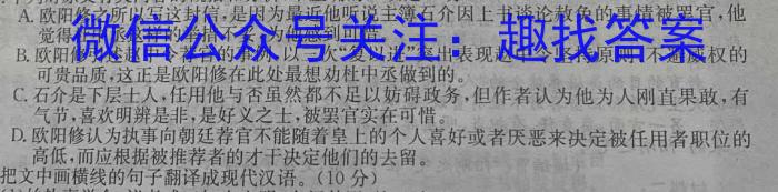 陕西省九年级联盟卷(23-CZ118c)语文