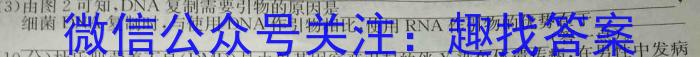 2023年陕西省初中学业水平考试·全真模拟（四）B卷生物